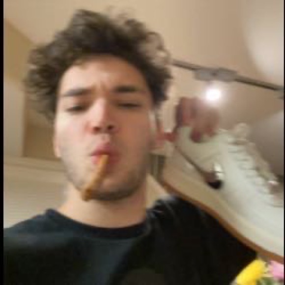 Meet your Posher, Logan - Picture 1 of 1